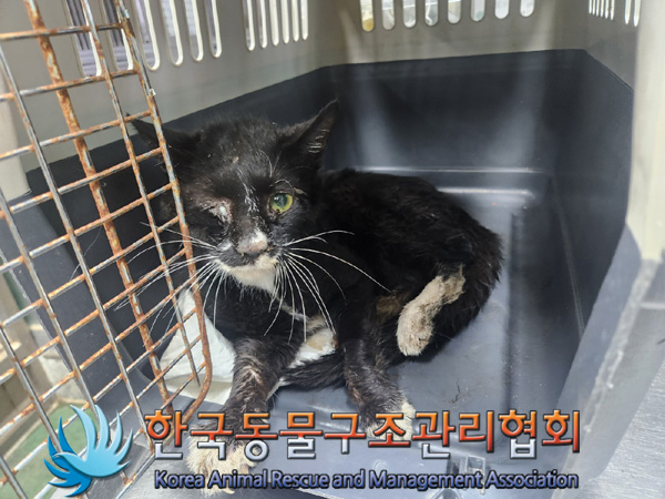 한국동물구조관리협회_441409202401878